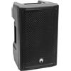 Omnitronic 11038761 Altoparlante Full Range Nero Cablato 100 W (11038761)
