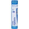 BOIRON Srl Carbo Vegetabilis 9CH Boiron 80 Granuli