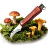 YEAPEAK Coltello Funghi Con Spazzola - Acciaio Inox Coltellino Funghi Richiudibile con Manico in Legno | Portatile Coltello da Funghi Professionale con Spazzolina Extra per Pulizia (21 cm)