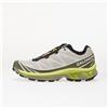 Salomon Sneakers Salomon XT-6 Lunar Rock/ Dlicgr/ Brighc