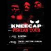 52733 Kneecap