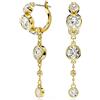 SWAROVSKI Orecchini imber pendenti
