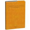 QUOVADIS Agenda del Professore 2027 - copertina Roma - 21 x 27 cm - giallo zafferano - Quo Vadis (unità vendita 1 pz.)