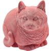 CERTRE Gatto Grasso CM.17