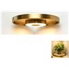 Generico Mensola a muro sospesa con luce ambientale LED incorporata, mensole a muro con luci a LED, mensola espositiva sospesa con staffe invisibili, eleva lo spazio con eleganza, salvaspazio (1pcs)