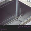Floral Print Mirror Stages (Vinyl LP) 12" Album