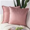 Madizz 2 Pezzi Federe in Velluto Copricuscini Morbido Decorativo Fodere per Cuscino Lusso Stile per Divano Camera da Letto Rosa Quadrate 60x60 cm
