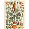 Artery8 Millot Encyclopedia Page Vegetables Legumes Unframed Wall Art Print Poster Home Decor Premium Pagina Parete Manifesto Casa