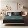 RIQINXIN Lenzuolo di messa a terra Grounding Fitted Sheet 90% cotone biologico & 10% fibra d'argento pura, lenzuolo di messa a terra elastico completamente avvolto, migliora il sonno 160 x 200+35 cm
