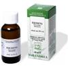 EQUISETO 60ML TM - - 911172106