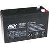 DSK 10369 - Batteria al piombo sigillata AGM da 12V e 6Ah ad alta scarica Batteria ideale per UPS-SAI, sistemi di sicurezza e comunicazione, luci di emergenza