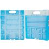 Campingaz Freez'Pack Ghiaccino, 30 1100 g & Freez'Pack M 20 Ghiaccino, 17 x 3 x 20 cm, 720 g