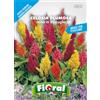 L'ORTOLANO Sementi da fiore di qualità in bustina per uso amatoriale (CELOSIA PLUMOSA NANA IN MISCUGLIO)