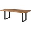 MASSIVMOEBEL24.DE FREEFORM 5 tavolo da pranzo in legno di sheesham - verniciato natur/gambe in ferro U antracite matt 260x100
