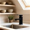 UISEBRT Rubinetto da bagno,Rubinetto nero per lavabo,Rubinetto per lavandino caldo e freddo, miscelatore monocomando ad alta pressione in acciaio inox cromato per bagno, lavello da giardino, cucina