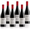 Masi BONACOSTA 2024 | Valpolicella Classico DOC | 6X750 ml | Confezione 6 bottiglie