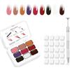 AIJIMEI Gel sfumato Ombre, multicolore, con 20 spugnette per unghie e 1 pinza in metallo (a forma di artiglio), tecnica spugnetta per unghie Ombre, manicure francese, design DlY (A3)