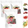 Bpoeee Ginseng Six Treasure Tea,Men's Herbal Tea, Individually Packed 20 Bags (3 bags)