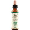 Fiori di bach Schwabe Fiori di Bach 04 Centaury Gocce 20 ml