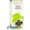 Dottor Giorgini Dr. Giorgini Gemmo 10+ Ribes Nero Analcoolico 100 ml