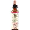 Fiori di bach Schwabe Fiori di Bach 29 Star of Bethlem Gocce 20 ml