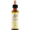 Fiori di bach Schwabe Fiori di Bach 21 Mustard Gocce 20 ml