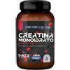 T-Rex Creatina Monoidrato Integratore Gusto Frutti di Bosco 250g
