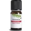 Pranarom La Diffusione Forza e Vitalità Olii Essenziali Bio per Diffusione Pino Silvestre e Ravintsara Tonificante e Stimolante 30 ml