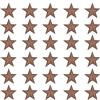 PATIKIL Stelle Adesive Da Cucire, 30 Pc Toppe Ricamate A Stella Applicazioni Decorazioni Per Vestiti Giacca Cappello Zaino Riparazioni Decorazioni, Marrone, 1 x 1