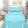 Ruggeri - Completo Letto - 100% Morbida Microfibra di Alta Qualità | 1 Federa 50x80cm + 1 Lenzuolo con Angoli 90x200cm + 1 Lenzuolo Sopra 160x290cm - Collezione Beat (Azzurro, Singolo)