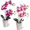 Sunyunze 2 Pezzi Orchidea Finta Realistica 40cm Artificial Orchid Flower Plastica Orchidee Finte Realistiche con Foglie Orchidea Artificiale Phalaenopsis per Feste di Matrimonio in Ufficio