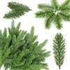 DabbOo 50 Pezzi Di Rami Di Abete Artificiale Da 10 Cm Per Decorazioni Natalizie Ghirlande Dell Avvento Progetti Artigianali Fai Da Te Decorazioni Da Tavolo E Decorazioni Per L Albero Di Natale