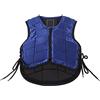 HERCHR Gilet da Equitazione Imbottito in Eva di Sicurezza Professionale Gilet di Sicurezza equestre per Ragazzi e Ragazze Gilet Protettivo Confortevole per l'allenamento di Guida Gilet (CS)