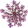 QUARKZMAN 24 Pezzi Fiori Pressati Essiccati, 2-2.5 Cm/0.8-1 Fiori Di Pizzo Reali Essiccati E Pressati All'ingrosso Per Resina Per Unghie, Gioielli, Candele, Biglietti, Colore Viola