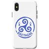 Brittany Celtic Culture Custodia per iPhone X/XS Bretagne Triskelion Bretone simbolo celtico Francia