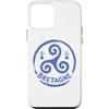Brittany Celtic Culture Custodia per iPhone 12 mini Bretagne Triskelion Bretone simbolo celtico Francia
