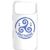 Brittany Celtic Culture Custodia per iPhone 17 Pro Max Bretagne Triskelion Bretone simbolo celtico Francia