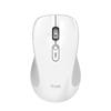 Trust - Ferro Hyperwheel Wrls Mouse-white