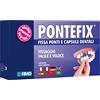 Pontefix Cemento Dentale Fissa Ponti, Capsule Dentali e Denti a Perno