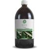 Ulivìs Ulivis - Estratto Foglie di Olivo Liquido. Integratore Alimentare - 1 Flacone da 1 L