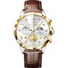Poedagar Orologio da polso da uomo di lusso, al quarzo, impermeabile, luminoso, cronografo, in pelle, sportivo, business, classico, da uomo, Oro Oro Bianco