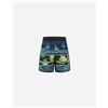 Mistral Summer Waves Jr - Boxer Mare - Color Mix