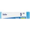 Sulfur*9Ch Gl 1G 1 g Globuli
