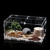 AMZTEMU TERRARIUM, Teca per serpenti, Scatola di alimentazione rettile, piccolo acquario, portatile, trasparente, adatto per barba, ragno, lucertola, scorpione -Acrilico(30 * 20 * 15cm)