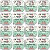 MAC's MACs Cat Vetcare - Dieta renale salmone e pollo, 100 g, per gatti, confezione da 16 (16 x 100 g)