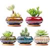 LamDawn Set di 5 graziosi vasi da giardino in ceramica per piante grasse, con drenaggio e sottovaso, piante non incluse (bruciatore)