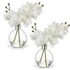 Hollyone 2 fiori artificiali di orchidea bianca in vaso, piccola pianta di orchidea finta con vaso di vetro, decorativa finta Phalaenopsis per matrimoni, centrotavola, decorazione per la casa