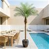 ZEEOZE 210cm Artificial Phoenix Palm Tree Palme Artificiali Alte con 15 Foglie Regolabili Piante Artificiali Phoenix Palm Per Esterni Patio Piscina Ufficio Domestico Soggiorno Giardino (1 Pz, 210cm)