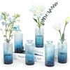 ZephyrHome Set di 6 Vasi in Vetro Trasparente, Mini Bottiglie Decorative per Fiori, Vasi Vintage per Centrotavola, Decorazioni da Tavolo per Matrimoni e Feste,per matrimonio,decorazione come regalo per amici