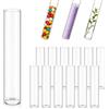 Forbabe 12 provette in vetro borosilicato, 30 x 100 mm, con fondo piatto, per vasi, fiori, piante, fai da te